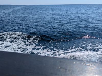 INISHEER REEF