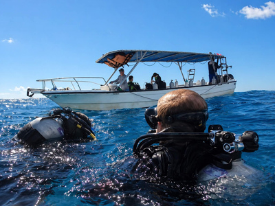 TORTUGAS REEF