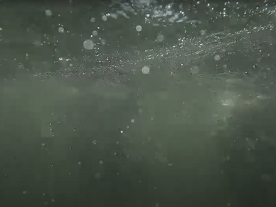 GANSEDRECKSEE