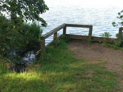 ROSMALENSE PLAS VISSTEIGER