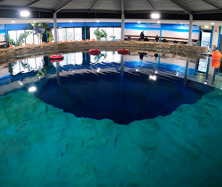 DIVE4LIFE
