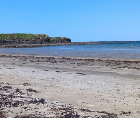 STREEDAGH