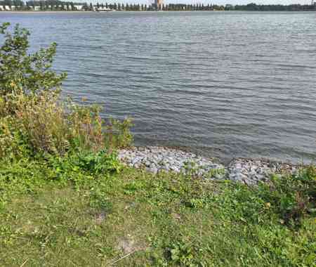 HAARRIJNSEPLAS THEMATERVELDEN