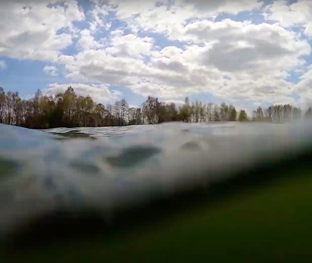 WALDSEE