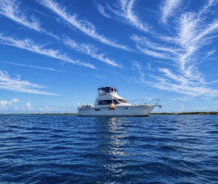 YUCAB REEF