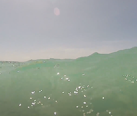 SHALLOW REEF
