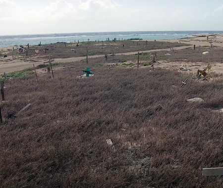 PET CEMETERY 
