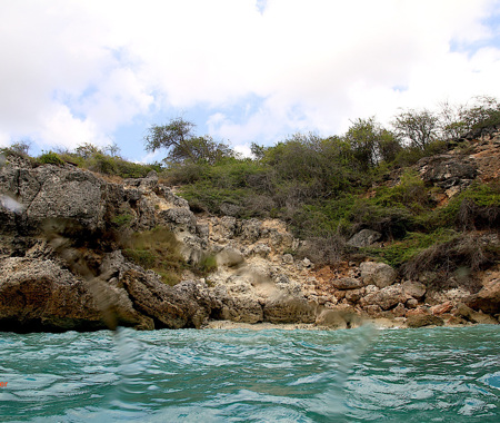 PESTBAAI