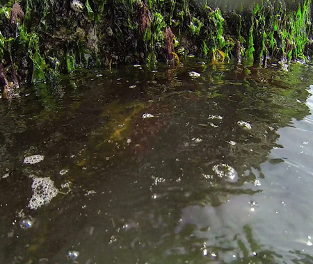 ZEELANDBRUG PIJLER 2