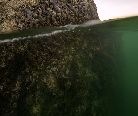 ZEELANDBRUG PIJLER 2