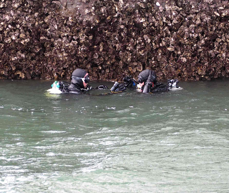 ZEELANDBRUG PIJLER 2