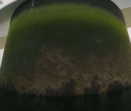 ZEELANDBRUG PIJLER 2