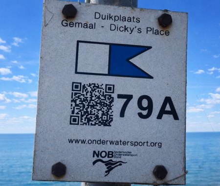 DICKYS PLACE