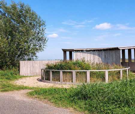DICKYS PLACE