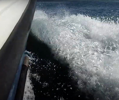 WICKLOW REEF