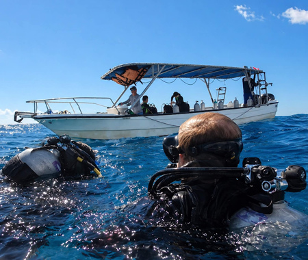 TORTUGAS REEF
