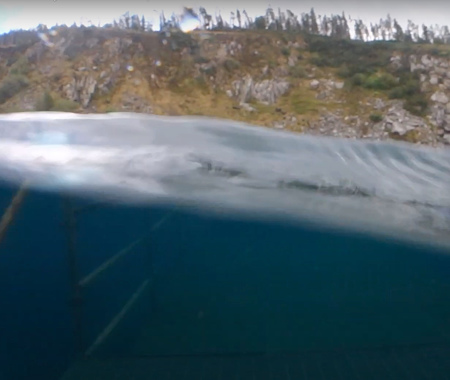 PORTROE DIVE QUARRY