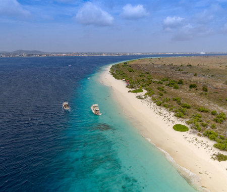 EBO'S REEF