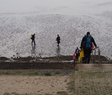 GORISHOEK DE BLOKKEN