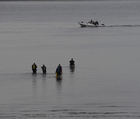 GORISHOEK DE BLOKKEN