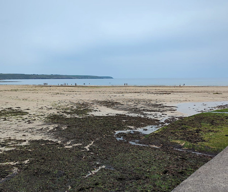 ARDMORE BAY