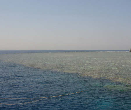 PANORAMA REEF