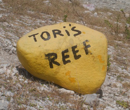 TORI'S REEF