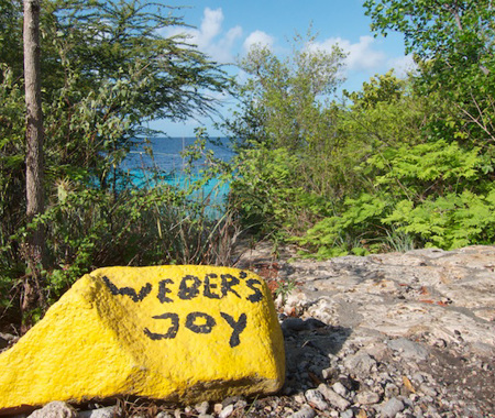 WEBER'S JOY