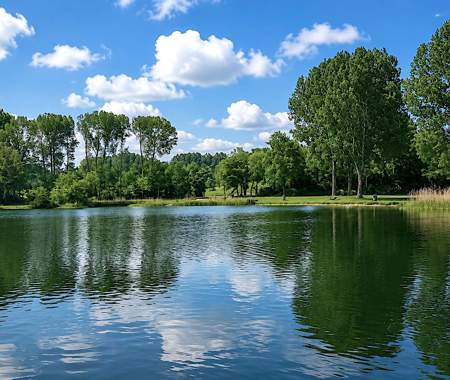 HAARLEMMERMEERSE BOS IJWEG