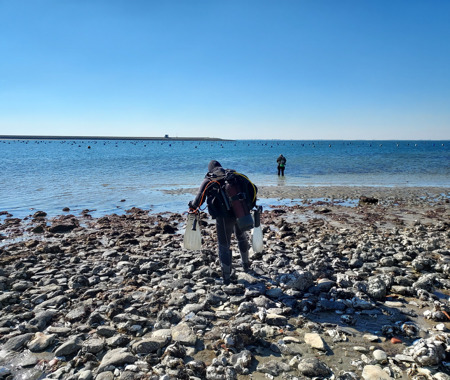 BERGSE DIEPSLUIS HANGCULTUUR