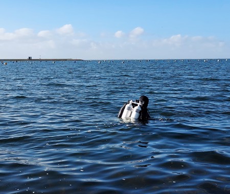 BERGSE DIEPSLUIS HANGCULTUUR