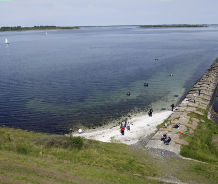 DEN OSSE HAVEN