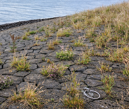 STOOFPOLDER HET LICHT