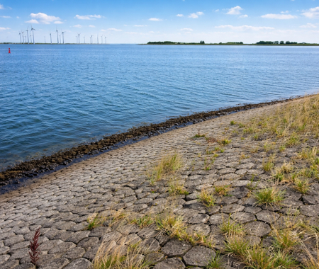 STOOFPOLDER HET LICHT