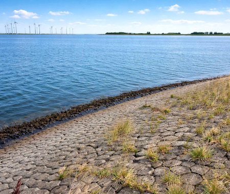 STOOFPOLDER HET LICHT
