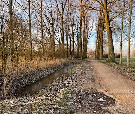 HAARSTEEGSE WIEL