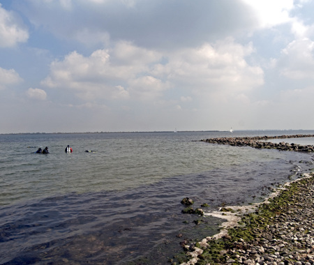 BOMMENEDE WERKHAVEN OOST