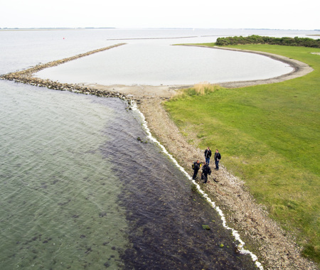 BOMMENEDE WERKHAVEN OOST