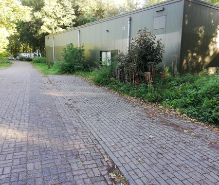 RIELERKOLK