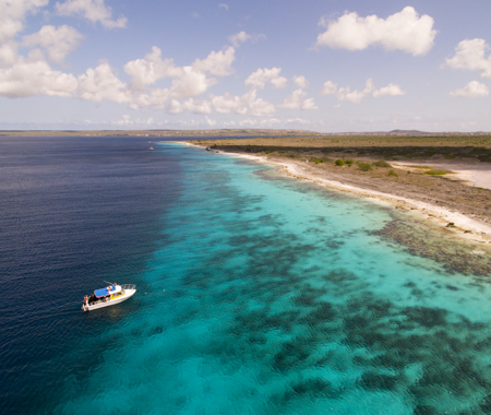 MONTE'S DIVI