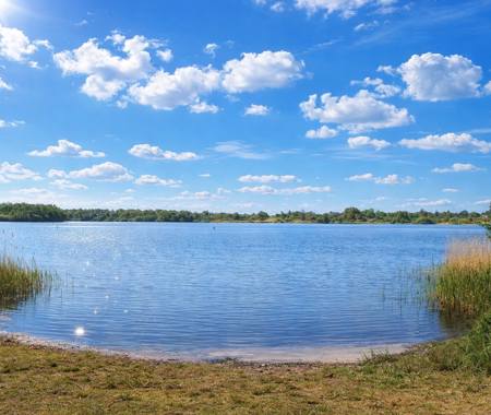 WOUDFENNEN (JOURE)