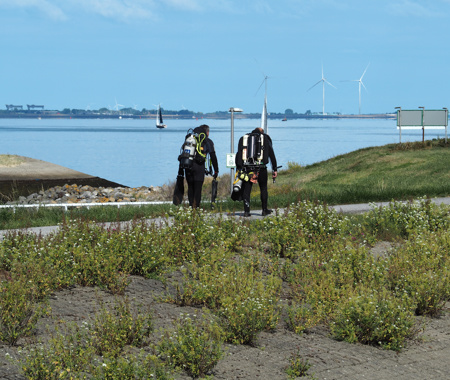 WEMELDINGE-OOST LINDA