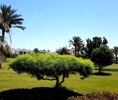 GORGONIA BEACH RESORT