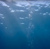 NEPTUN UCKAYA