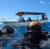 TORTUGAS REEF