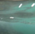 ARDMORE BAY