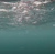 QUEBRA WRECK