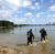 STRANDGAPER
