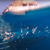 BESMI ISLAND