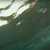 RUBIS WRECK